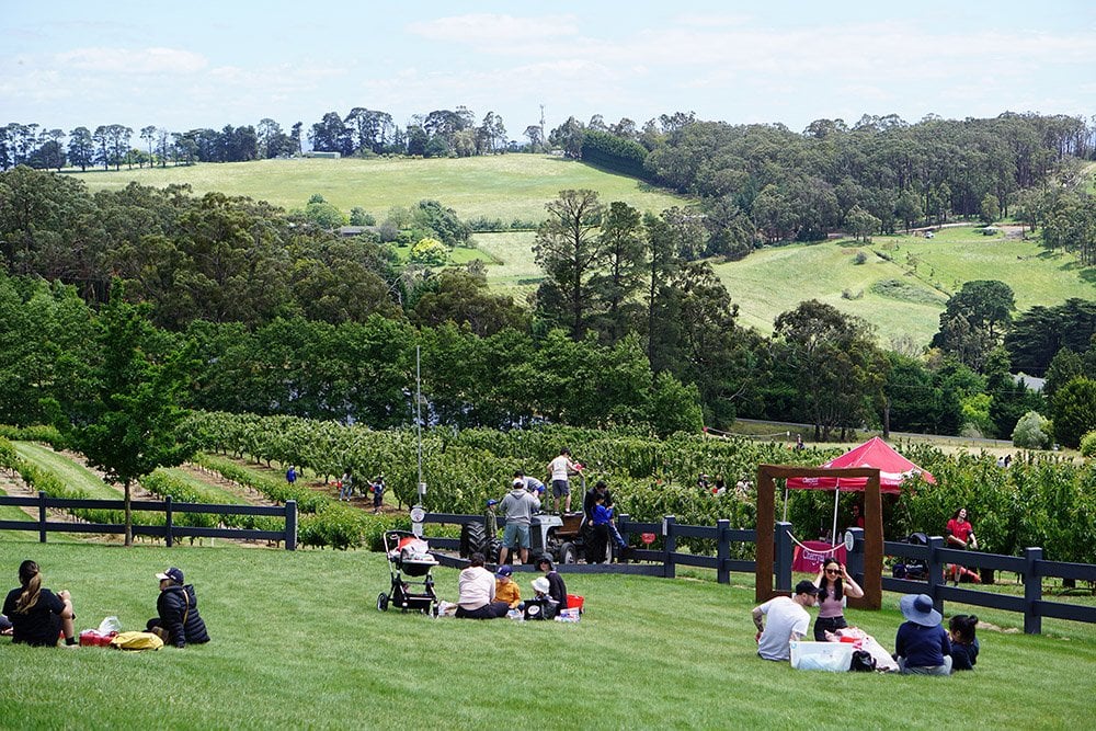 Fruit Picking Tour From Melbourne2