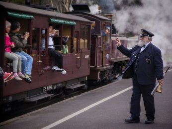 puffing-billy-steam-train-private-tour