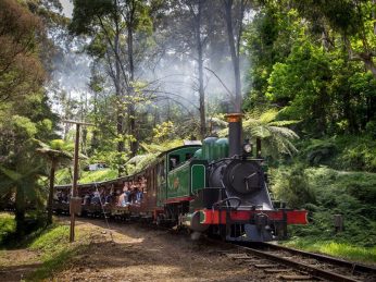 puffing-billy-tour