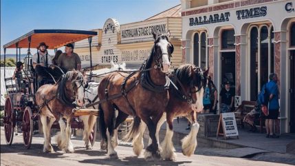sovereign-hill-tours-from-melbourne