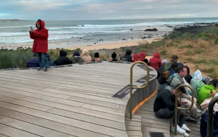 Phillip Island Tour (3)